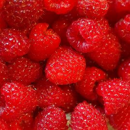 Get found by your customers online