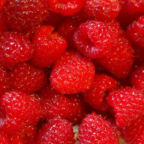 Get found by your customers online